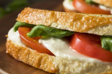 Sağlıklı ızgara fesleğen Mozzarella Caprese Panini