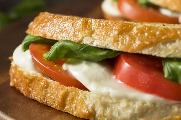 Manjericão grelhado saudável Mozzarella Caprese Panini — Fotografia de Stock