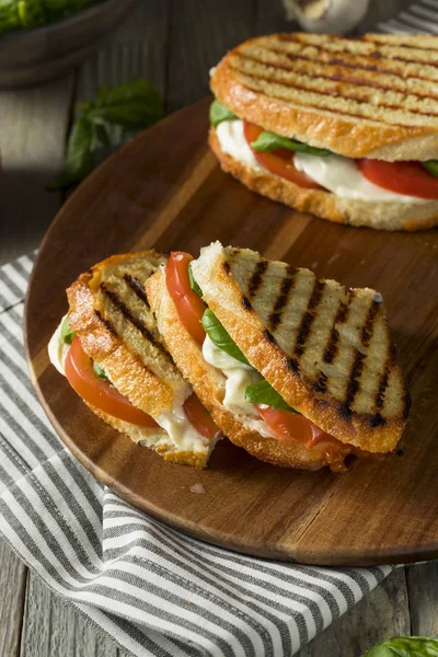 Basilic grillé sain Mozzarella Caprese Panini — Photo