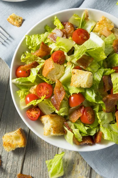 Croutons sağlıklı pastırmalı sandviç salata — Stok fotoğraf