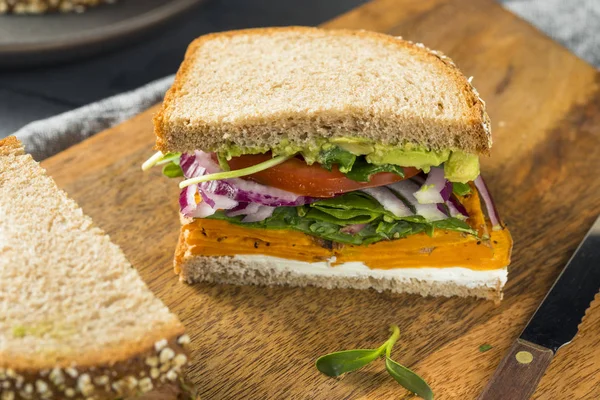 Healthy Homemade Vegetarian Veggie Sandwich — Stock Photo, Image