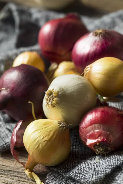 Råa ekologiska blandade pärllök — Stockfoto