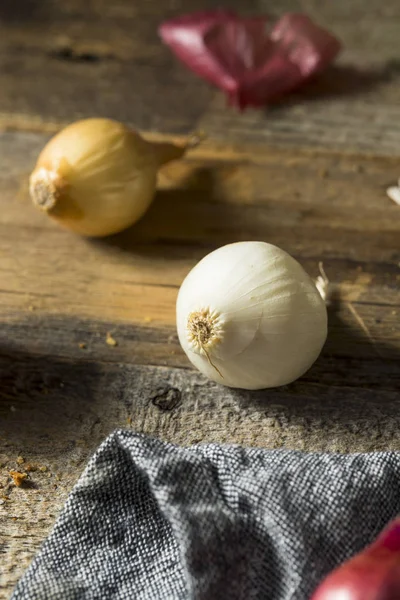 Cebollas perlas crudas orgánicas surtidas —  Fotos de Stock