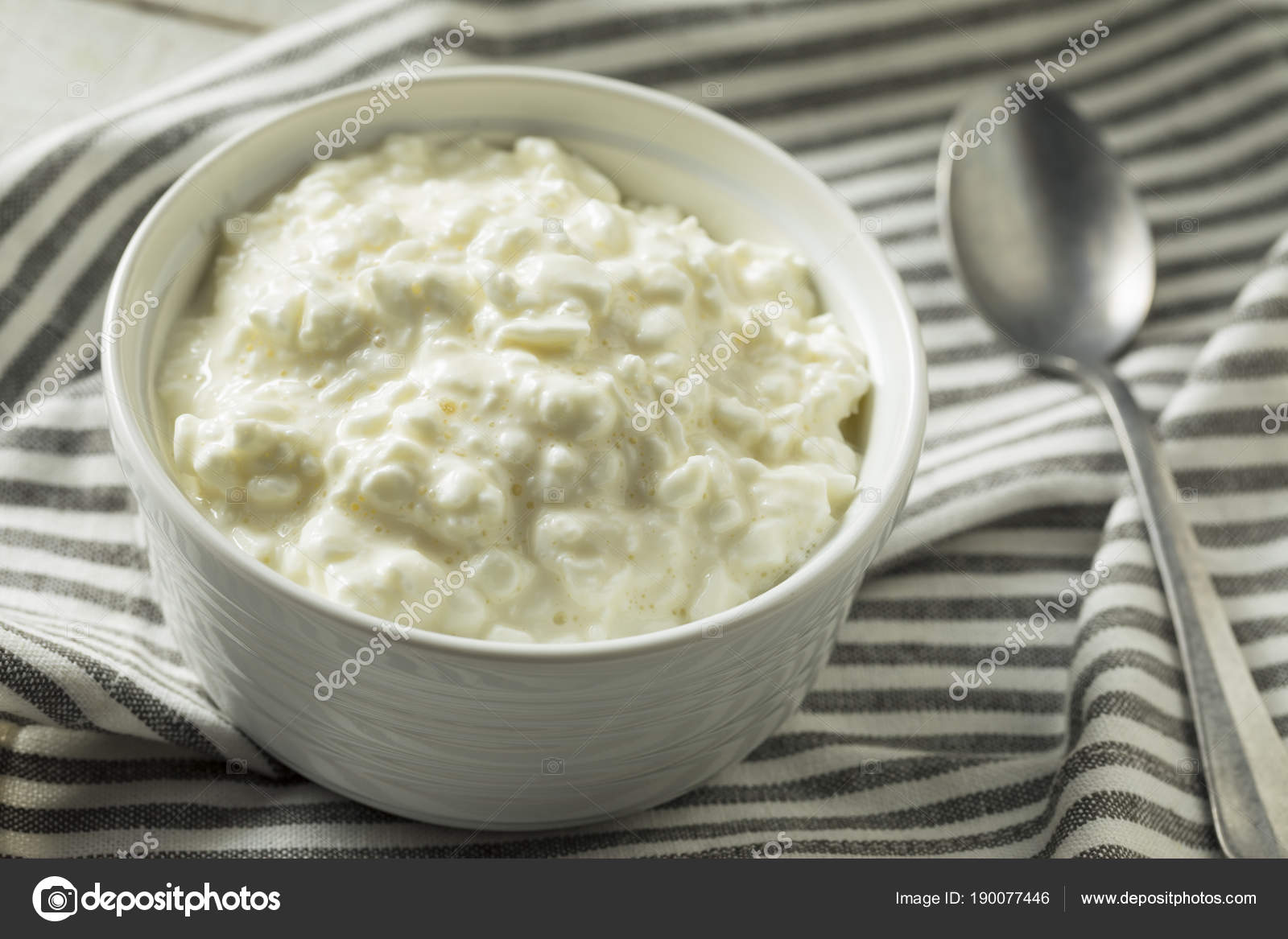 Homemade Low Fat Cottage Cheese Stock Photo C Bhofack2 190077446
