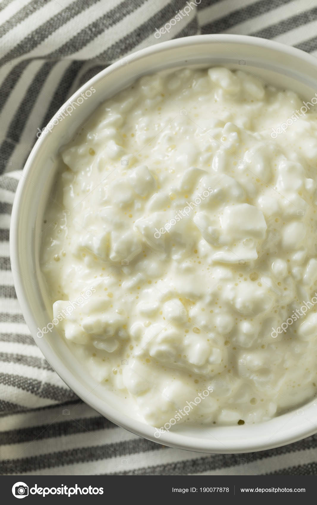 Homemade Low Fat Cottage Cheese Stock Photo C Bhofack2 190077878