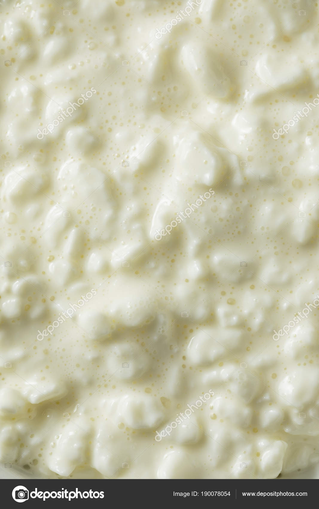 Homemade Low Fat Cottage Cheese Stock Photo by ©bhofack2 190078054