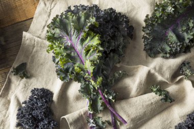 Organik sağlıklı kırmızı lahana