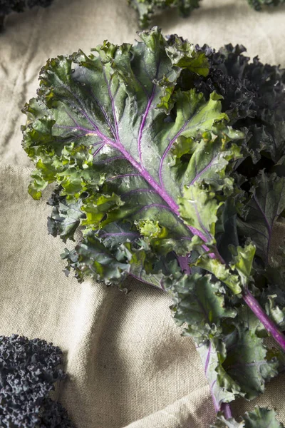 Organic Healthy Red Kale — Stock Photo, Image