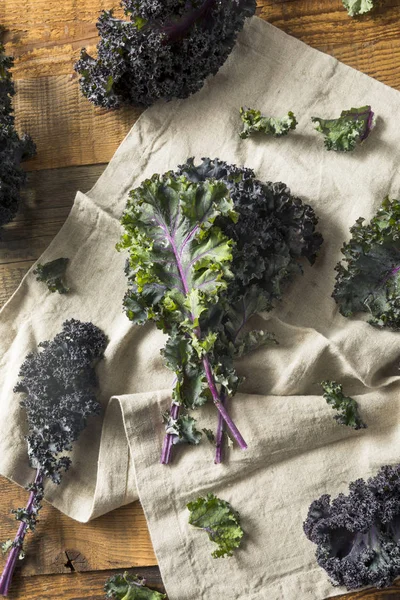Organic Healthy Red Kale — Stock Photo, Image