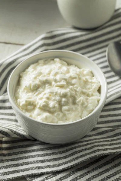 Homemade Low Fat Cottage Cheese — Stock Photo, Image