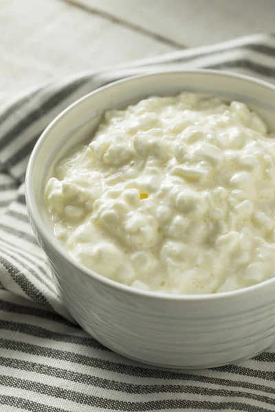 Homemade Low Fat Cottage Cheese — Stock Photo, Image