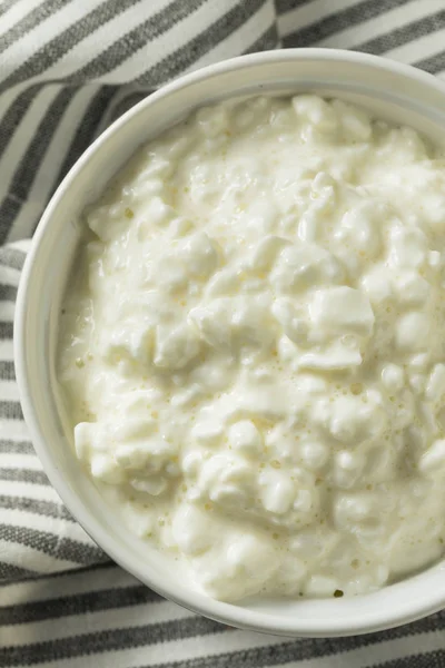 Homemade Low Fat Cottage Cheese — Stock Photo, Image