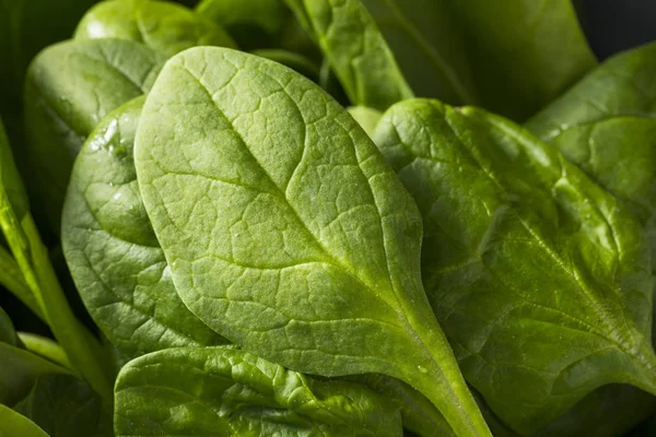 Foglie di spinaci organici verdi crudi — Foto Stock