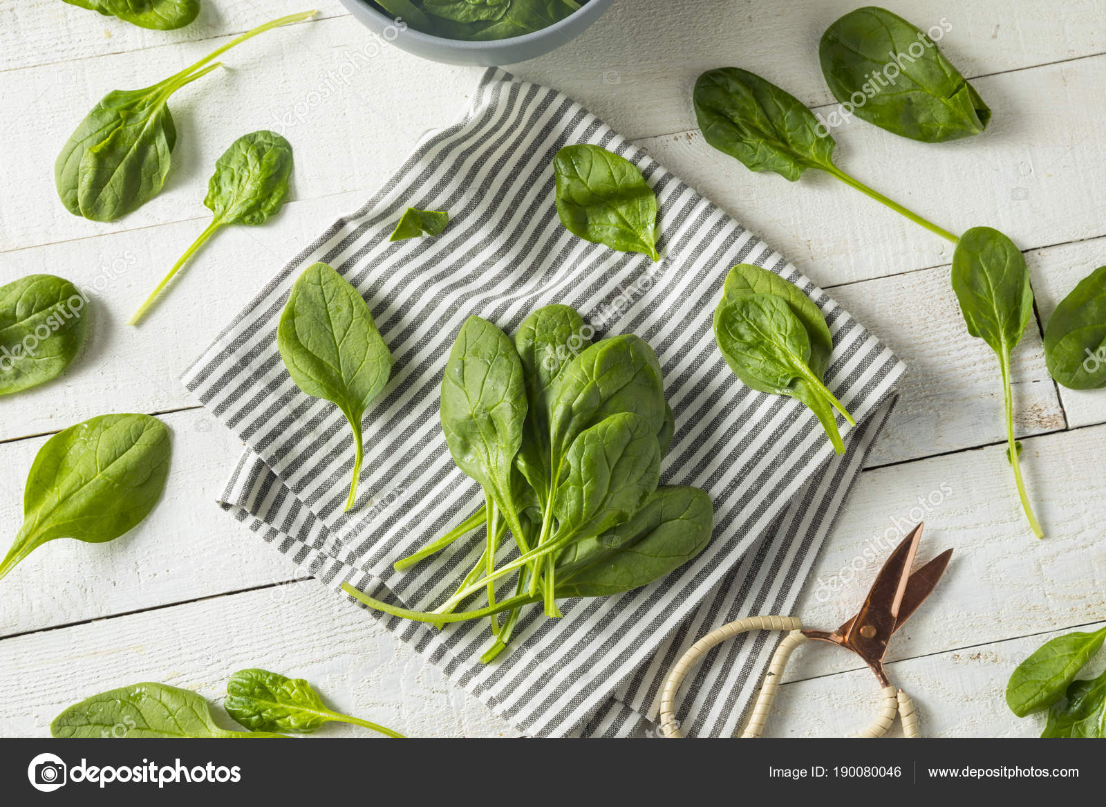 Raw Green Organic Spinach Leaves — Stock Photo © bhofack2 190080046