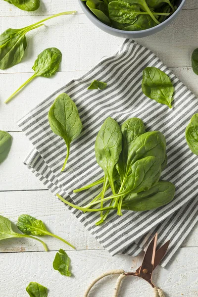 Rohe grüne Bio-Spinatblätter — Stockfoto