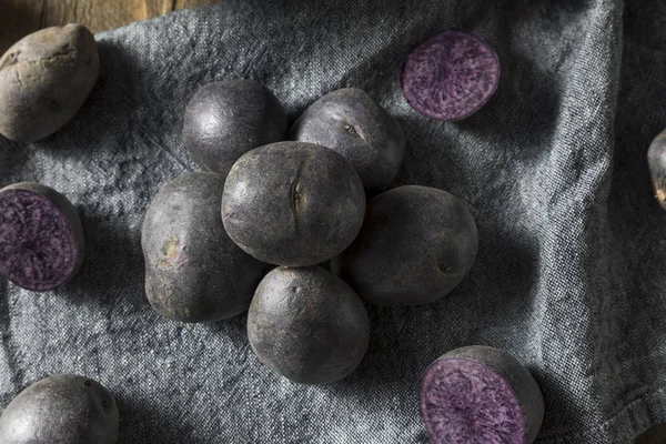 Сырой органический фиолетовый картофель — стоковое фото