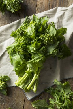 Raw Green Organic Broccoli Rabe clipart