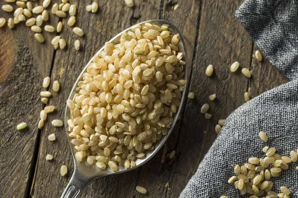 Raw Organic Short Grain Brown Rice — Stock Photo, Image