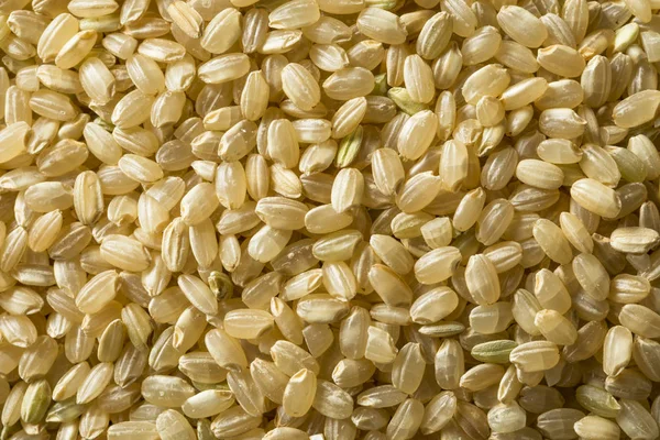 Arroz marrón de grano corto orgánico crudo — Foto de Stock