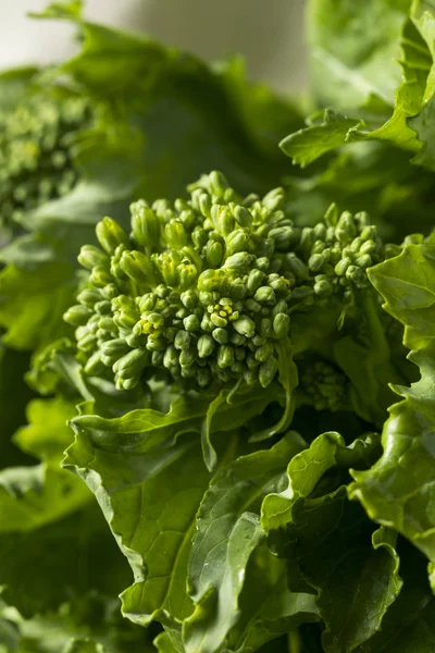 Rå grön ekologisk Broccoli Rabe — Stockfoto
