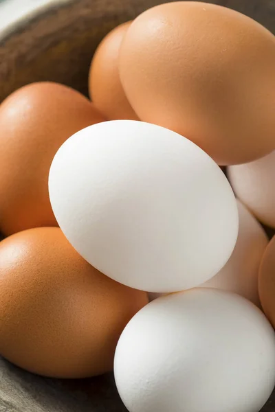 Huevos blancos y marrones orgánicos libres de jaula — Foto de Stock