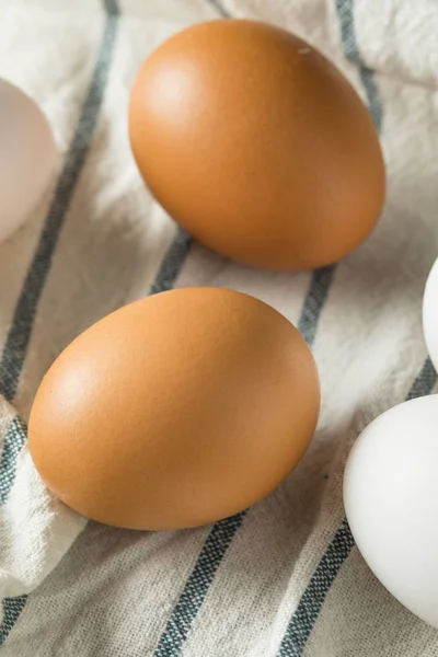 Cage gratis ekologiska vita och bruna ägg — Stockfoto