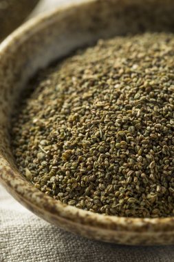 Sağlıklı kuru organik kereviz tohumu