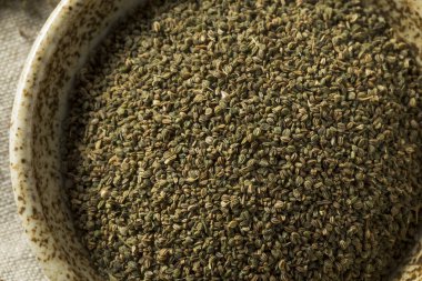 Sağlıklı kuru organik kereviz tohumu