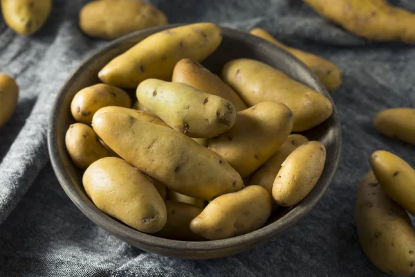 Raw Yellow Fingerling Potatoes — Stock Photo, Image