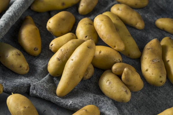 Raw Yellow Fingerling Potatoes — Stock Photo, Image