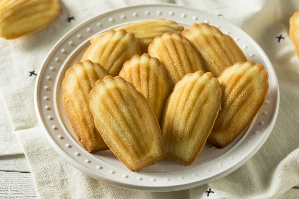 Hemmagjord söta franska Madeleines — Stockfoto