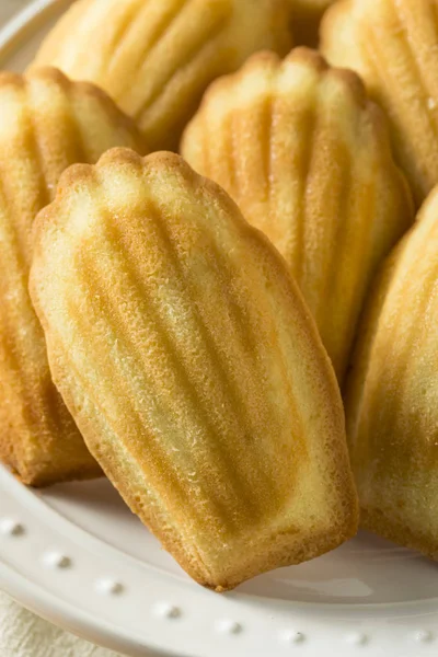 Hausgemachte süße Französisch Madeleines — Stockfoto