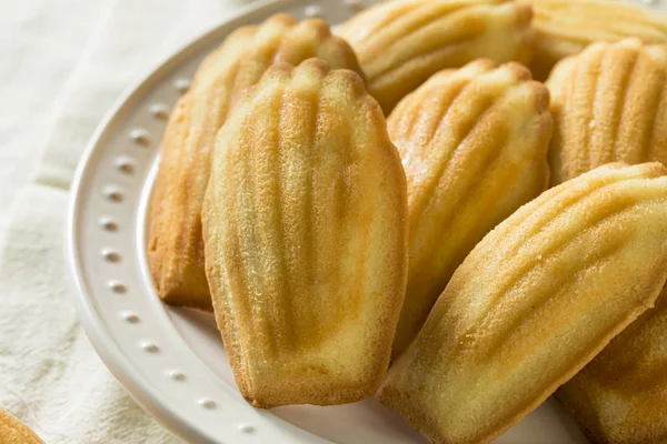 Hemmagjord söta franska Madeleines — Stockfoto