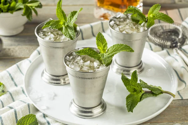 Hausgemachter kentucky mint julep — Stockfoto