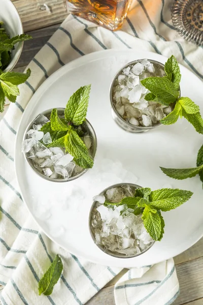 Hausgemachter kentucky mint julep — Stockfoto