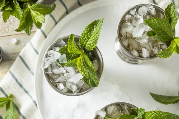 Hausgemachter kentucky mint julep — Stockfoto