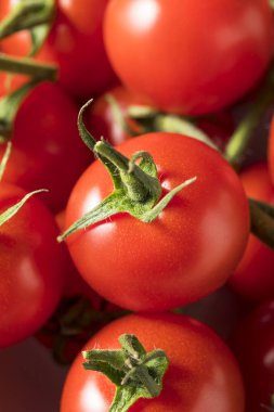 Kırmızı organik çiğ domates