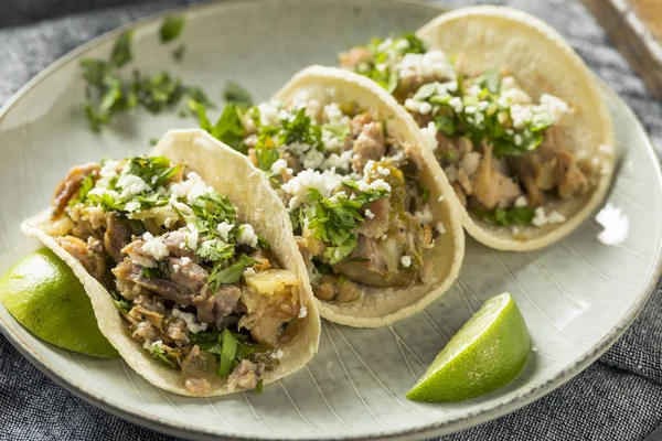Hemmagjord fläsk Carnitas Tacos — Stockfoto