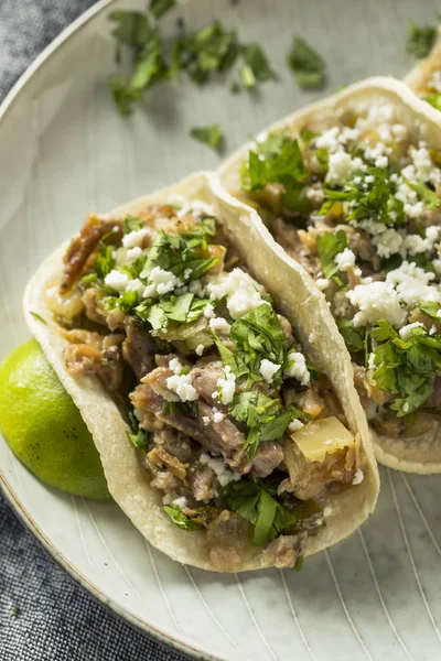 Ev yapımı domuz Carnitas Tacos — Stok fotoğraf