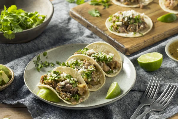 Χοιρινό σπιτικό Carnitas Tacos — Φωτογραφία Αρχείου