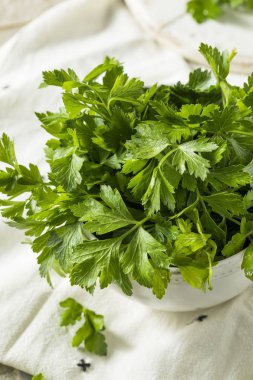 Ham yeşil organik İtalyan düz yaprak maydanoz
