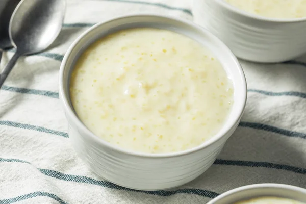 Doce caseiro tapioca pudim — Fotografia de Stock