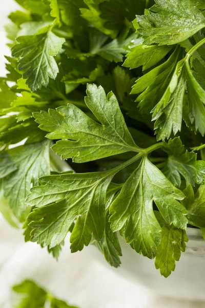 Raw Green Organic Italian Flat Leaf Parsley — Fotografie, imagine de stoc