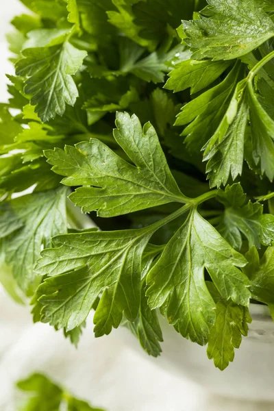 Rauwe groene biologische Italiaanse platte peterselie — Stockfoto