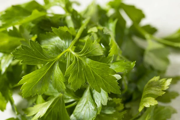 Raw Green Organic Italian Flat Leaf Parsley