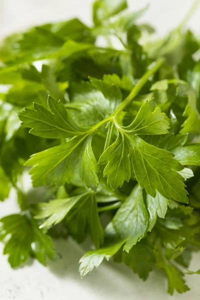 Raw Green Organic Italian Flat Leaf Parsley — Fotografie, imagine de stoc