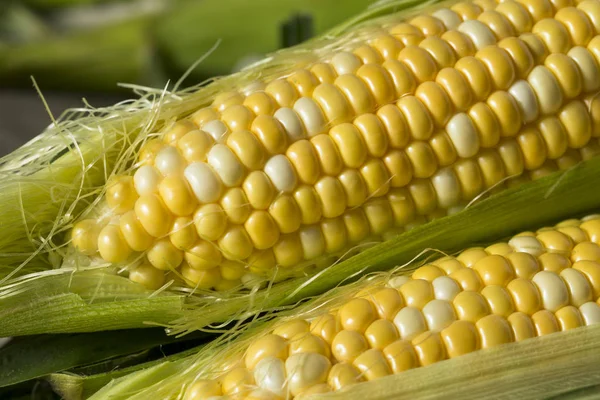 RAW жовта кукурудза на на Кобб — стокове фото