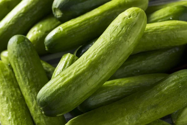 Raw Green Organic Baby Cucumbers — Stock Photo, Image