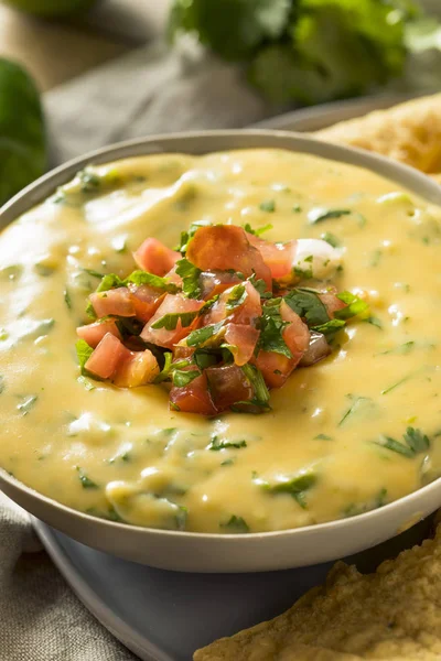 Spicy Homemade Cheesey Queso Dip — Stock Photo, Image