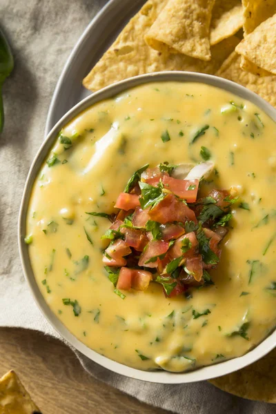 Pittige huisgemaakte Cheesey Queso Dip — Stockfoto